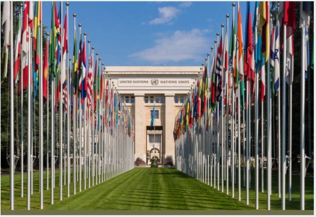 Screenshot 2025 09 12 18 48 53 737 com.android.chrome edit