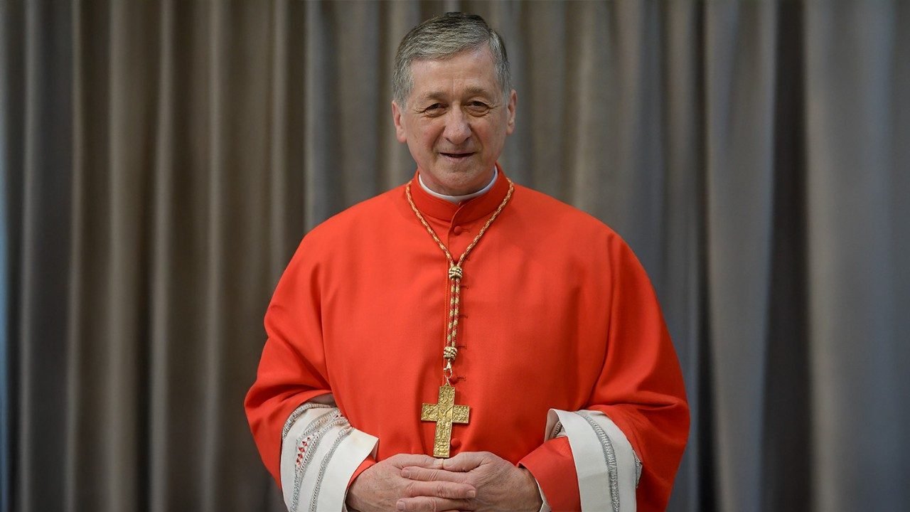 Cardinal Cupich la paix n039est pas l039absence de guerre mais