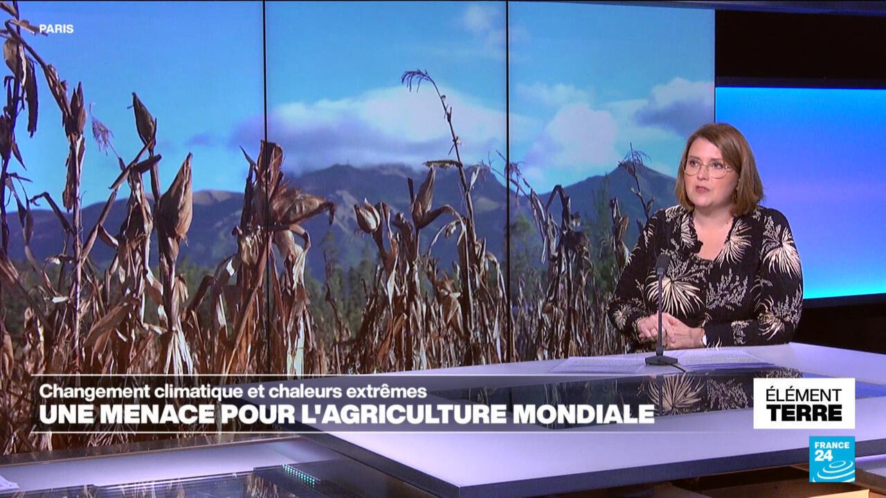 Changement climatique une menace pour l039agriculture mondiale