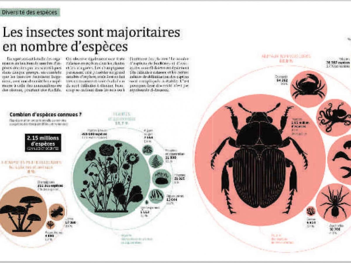 "La Biodiversité en infographies"