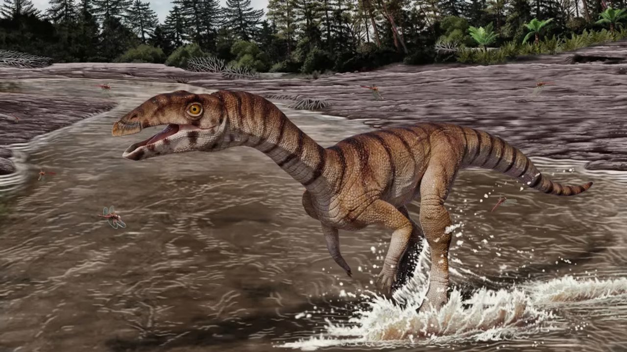Voici la « sorcière crocodile », une créature édentée du Trias, vieille de 212 millions d'années, qui marchait sur deux jambes 1 Voici la sorciere crocodile une creature edentee du
