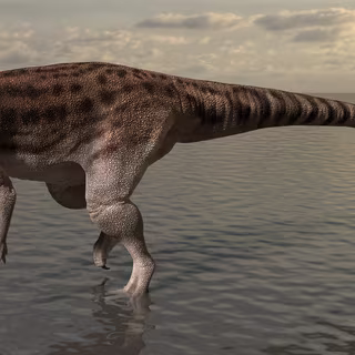 Voici la « sorcière crocodile », une créature édentée du Trias, vieille de 212 millions d'années, qui marchait sur deux jambes 3 Ce petit dinosaure a laissé des empreintes dans la boue en bordure d'un milieu marin il y a 200 millions d'années. © University of Queensland