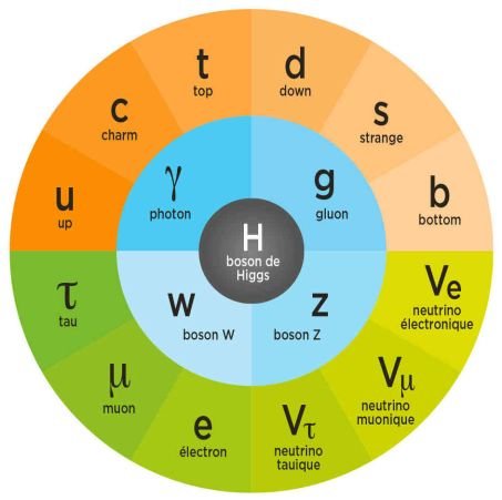 Les particules élémentaires se répartissent en six quarks (orange) et six leptons (vert) qui composent la matière. S\'y ajoutent quatre particules qui véhiculent les forces (bleu) et le boson de Higgs qui donne leur masse aux particules.