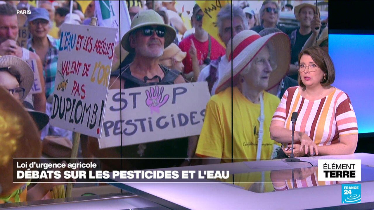 France reintroduction de pesticides partage de l039eau et loup en