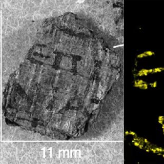 Des lettres grecques apparaissent clairement sur ces papyrus découverts à Herculanum et étudiés avec les méthodes modernes de la physique. © Emmanuel Brun